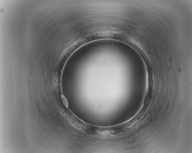 X0000060740407200511171102