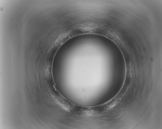 X0000060740408200511171102