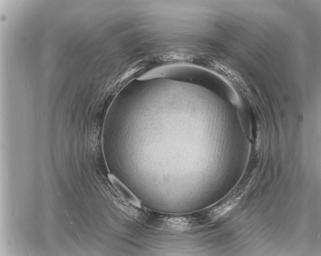 X0000060740409200511171102