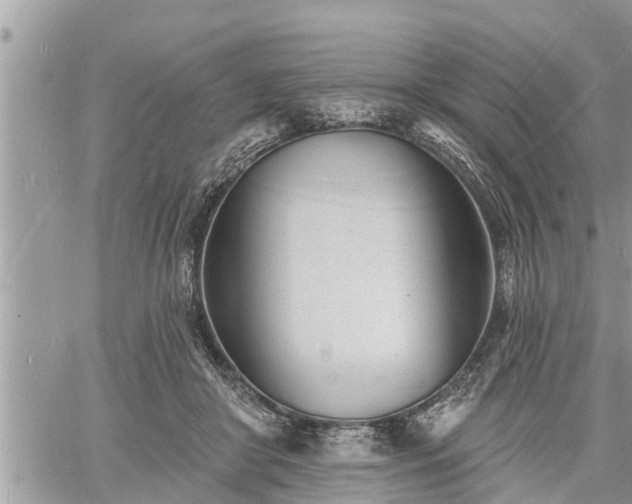 X0000060740410200511171102