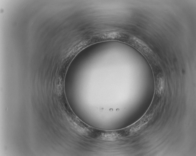 X0000060740414200511171102