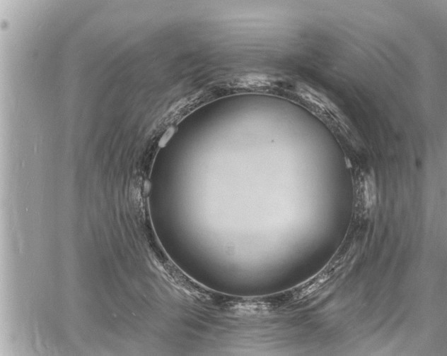 X0000060740415200511171102