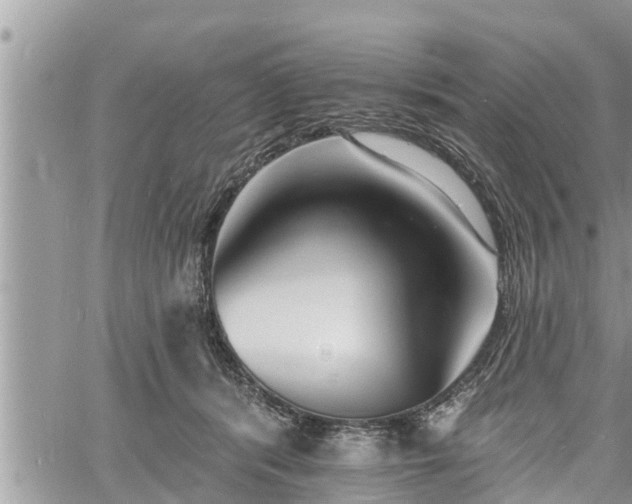 X0000060740416200511171102