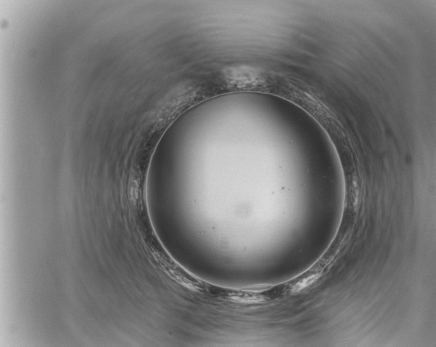 X0000060740417200511171102