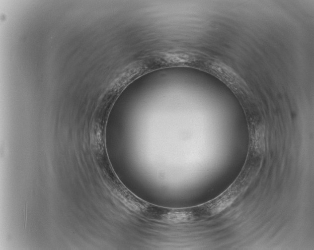 X0000060740418200511171102