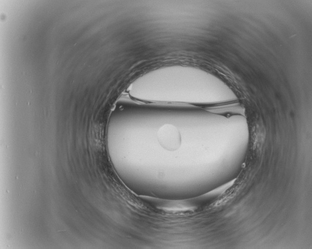 X0000060740421200511171102