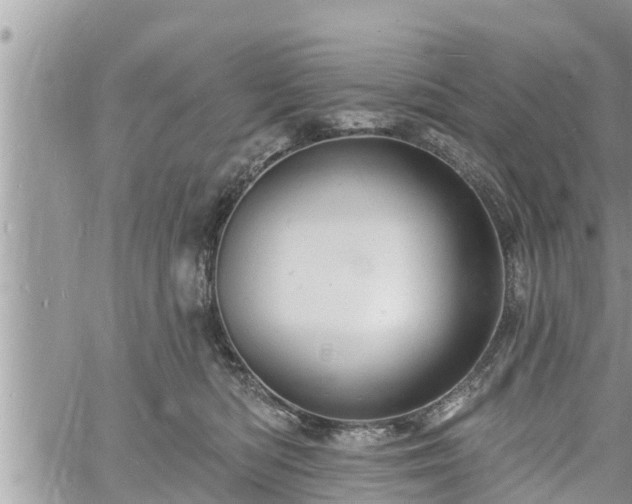 X0000060740422200511171102