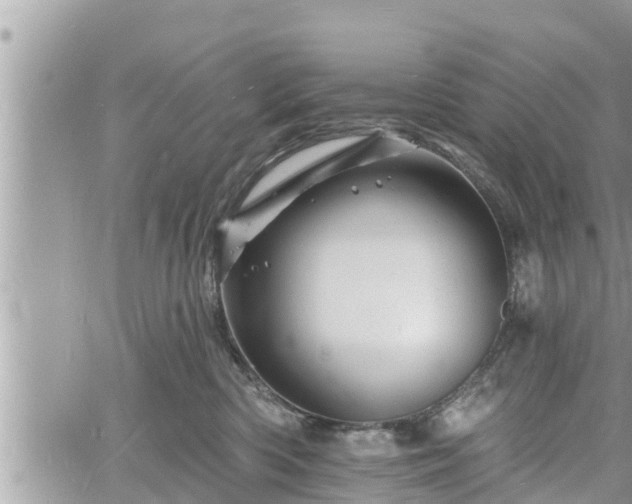 X0000060740426200511171102