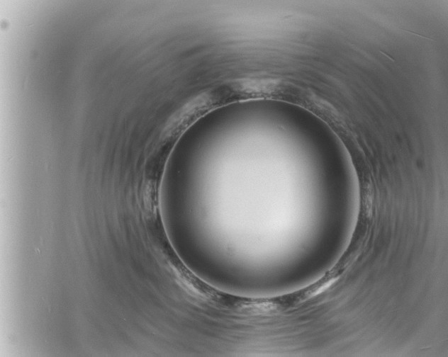 X0000060740428200511171102