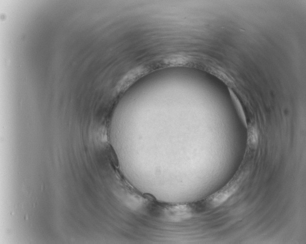 X0000060740431200511171102