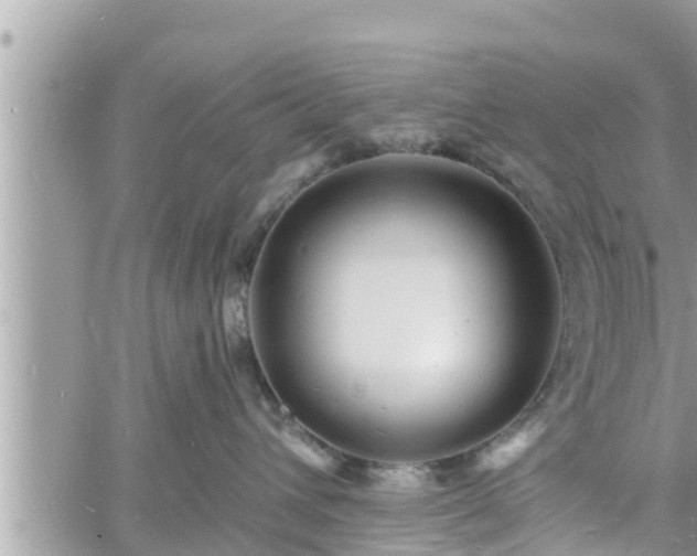 X0000060740432200511171102