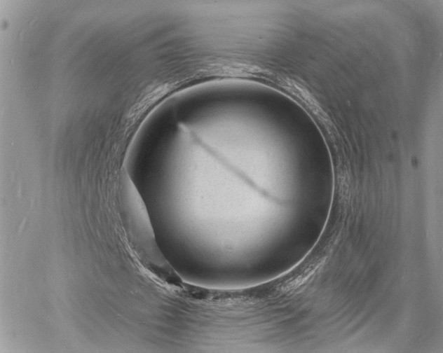 X0000060740433200511171101