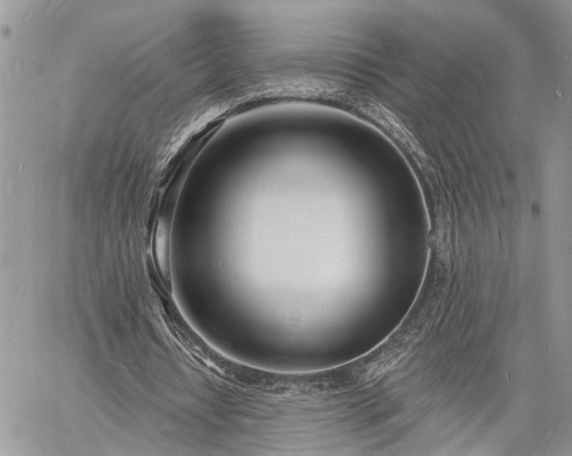 X0000060740434200511171101