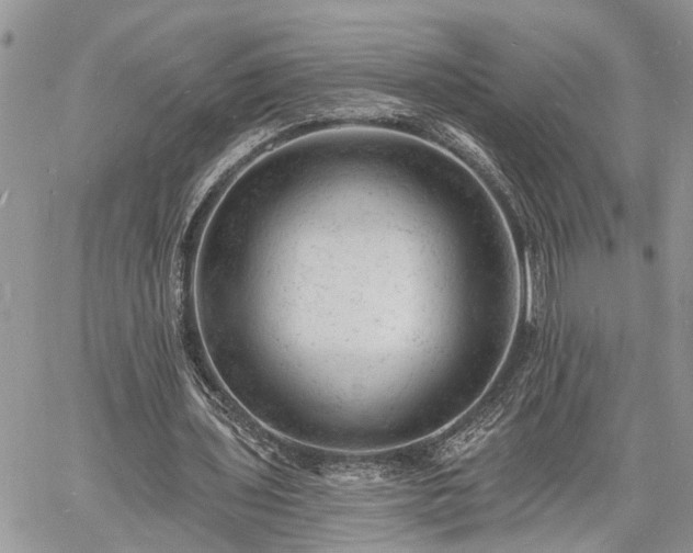 X0000060740435200511171101