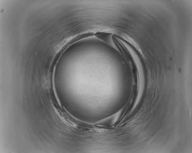 X0000060740436200511171101