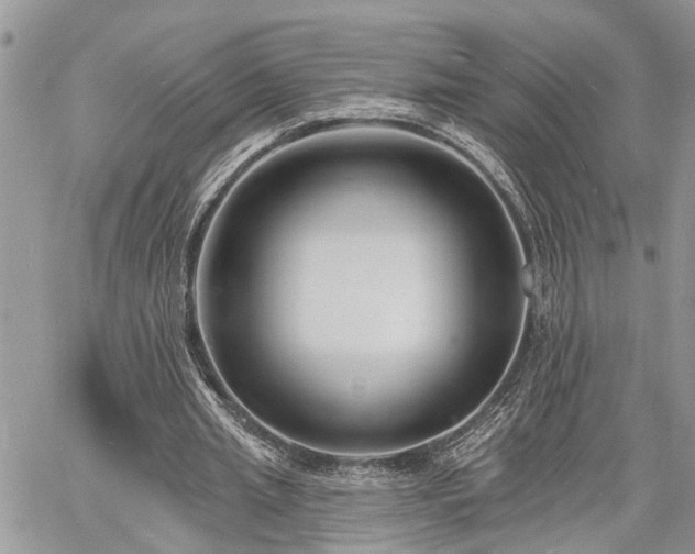 X0000060740437200511171101