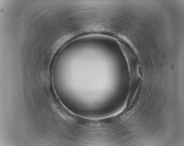 X0000060740439200511171101