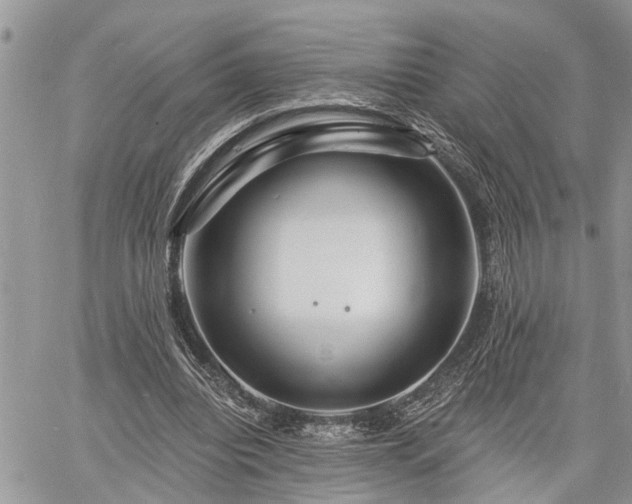 X0000060740440200511171101