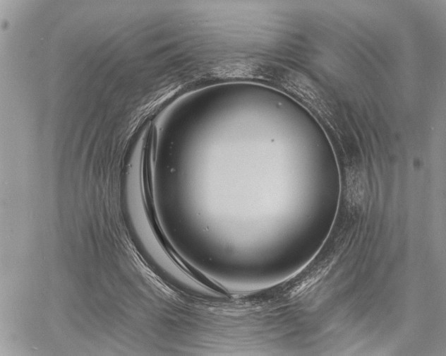 X0000060740441200511171101