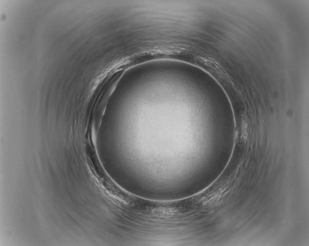 X0000060740444200511171101