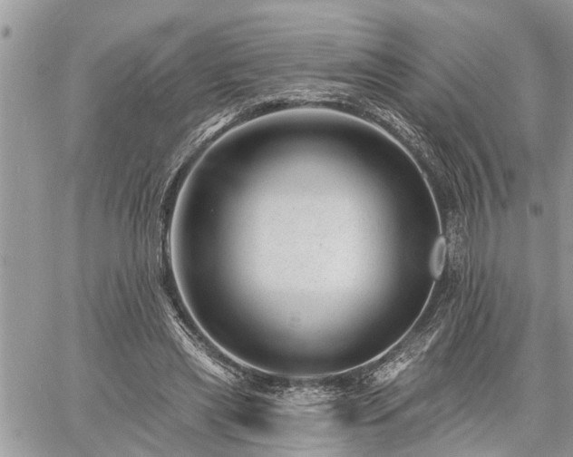 X0000060740445200511171101