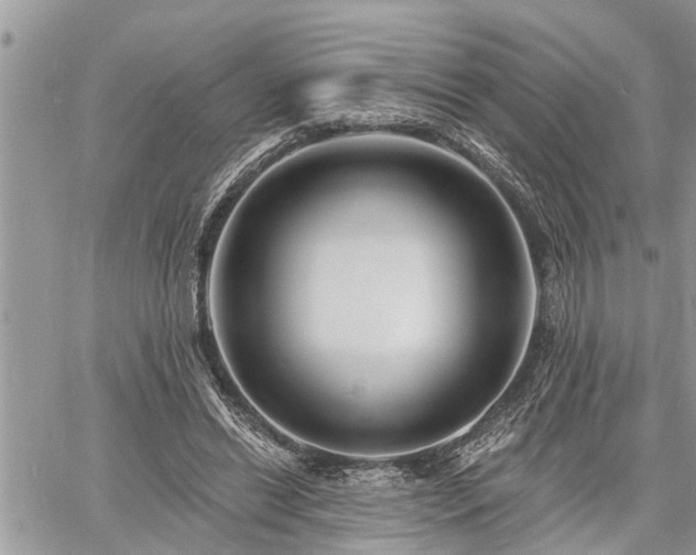 X0000060740446200511171101