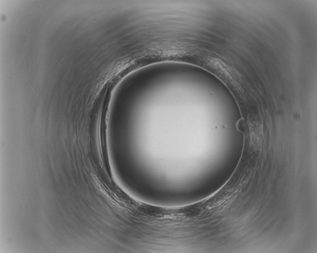 X0000060740447200511171101