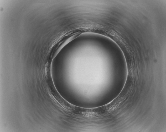 X0000060740448200511171101