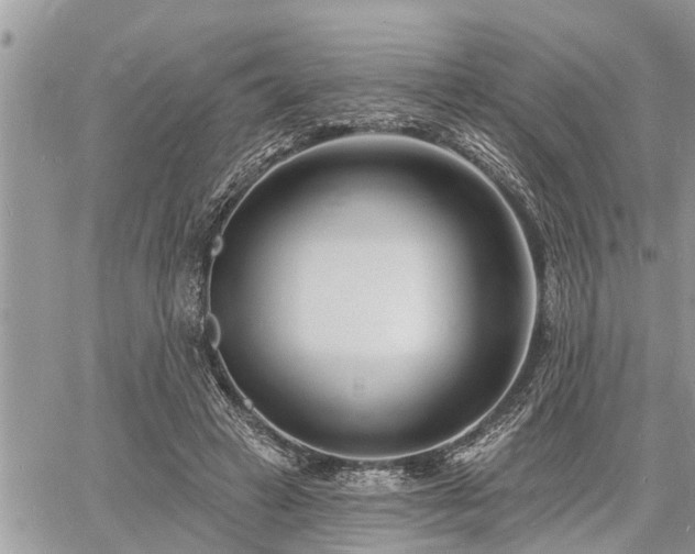 X0000060740449200511171101