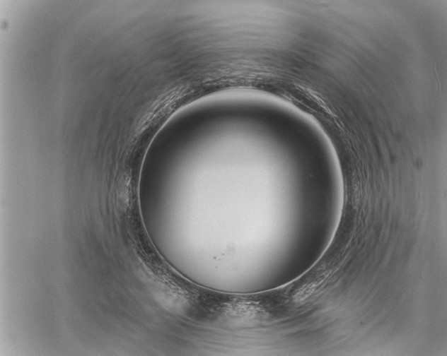 X0000060740451200511171101