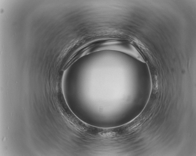 X0000060740452200511171101