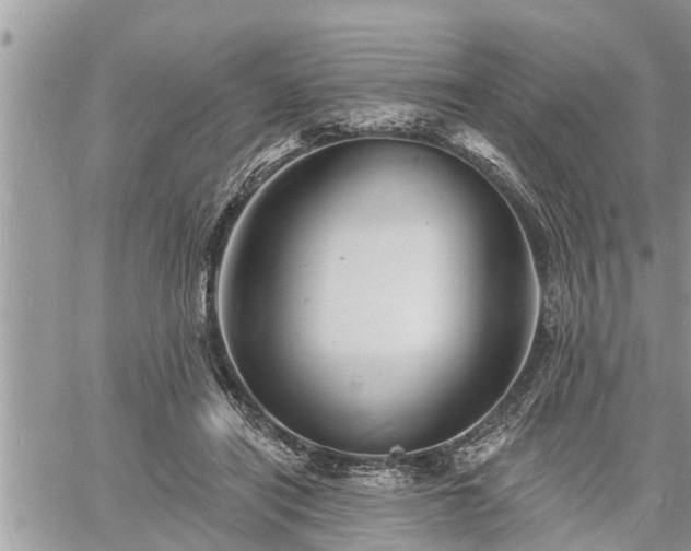 X0000060740454200511171101