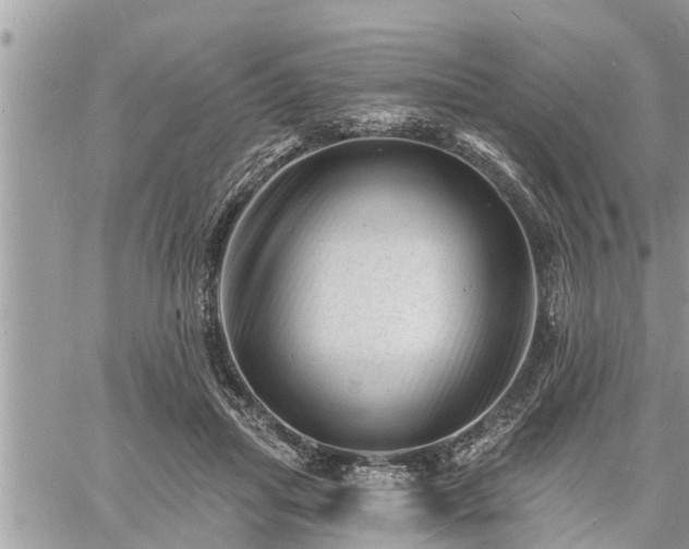 X0000060740455200511171101