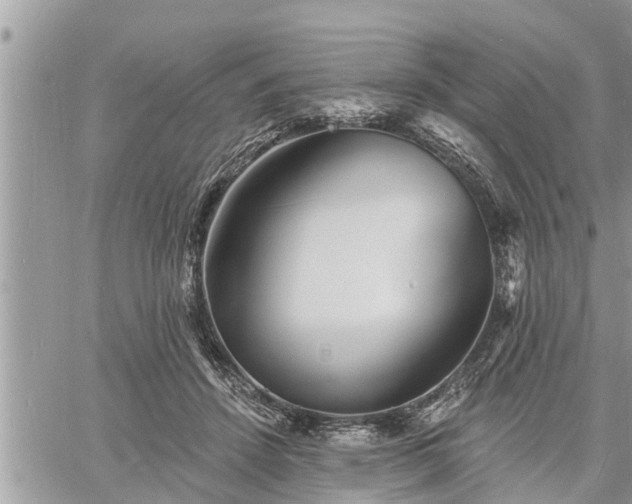 X0000060740456200511171101