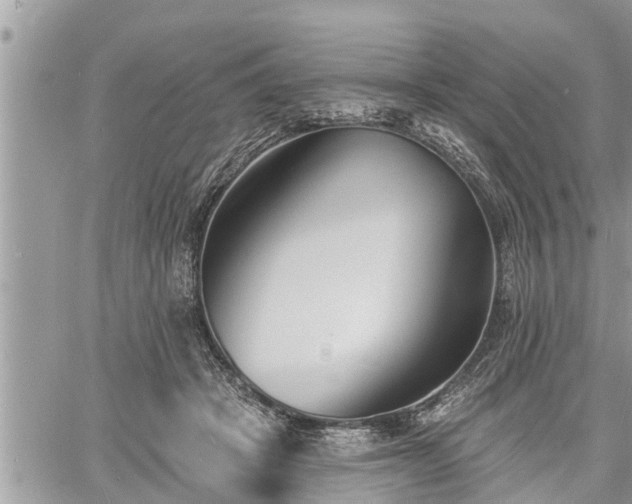 X0000060740457200511171101