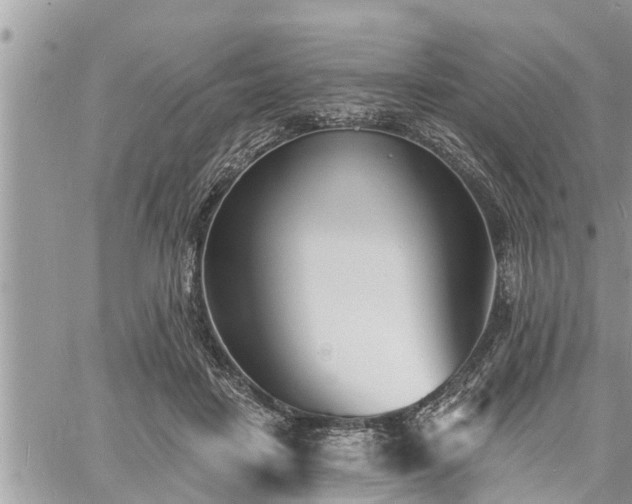 X0000060740458200511171101