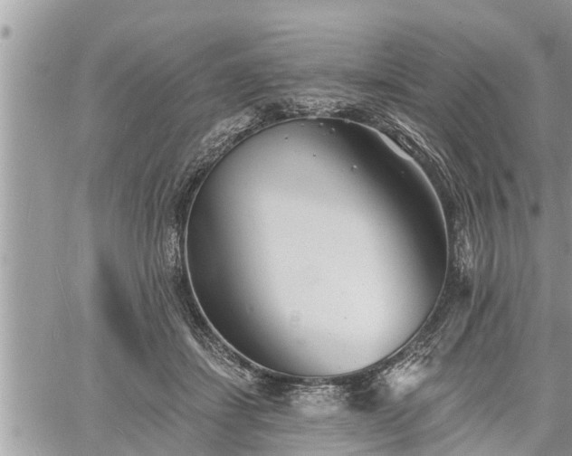 X0000060740459200511171101