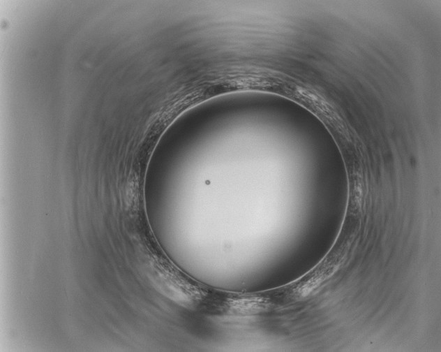 X0000060740461200511171101