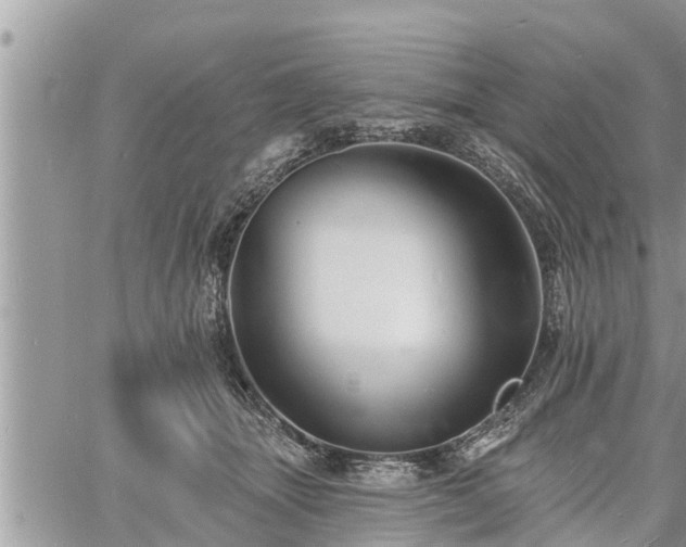 X0000060740463200511171101