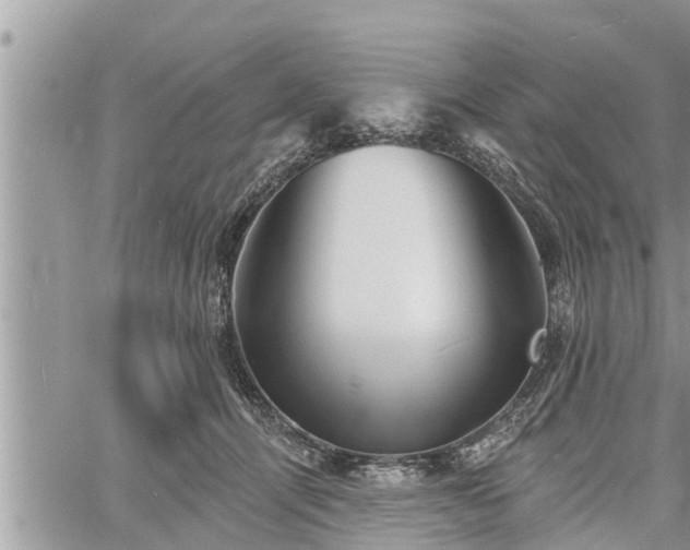 X0000060740464200511171101