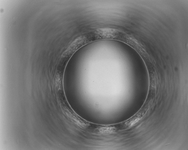 X0000060740465200511171101