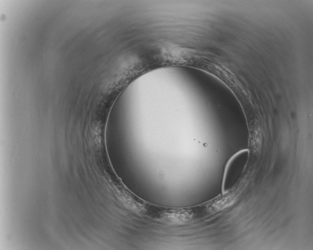 X0000060740466200511171101