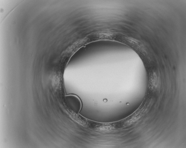 X0000060740468200511171101