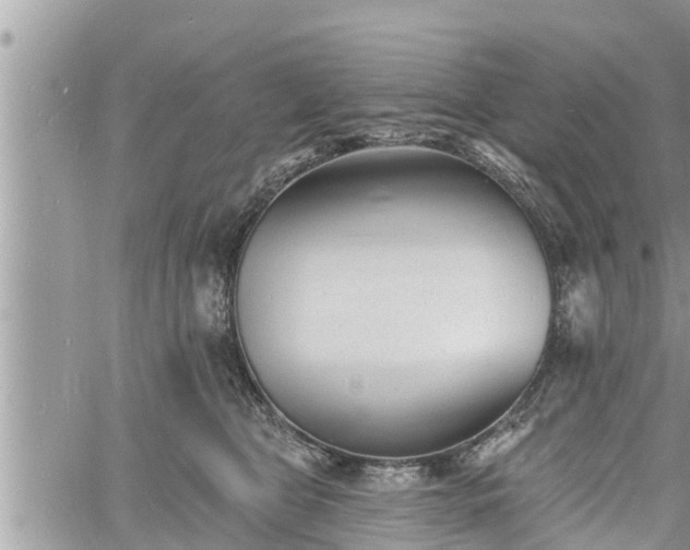 X0000060740469200511171101