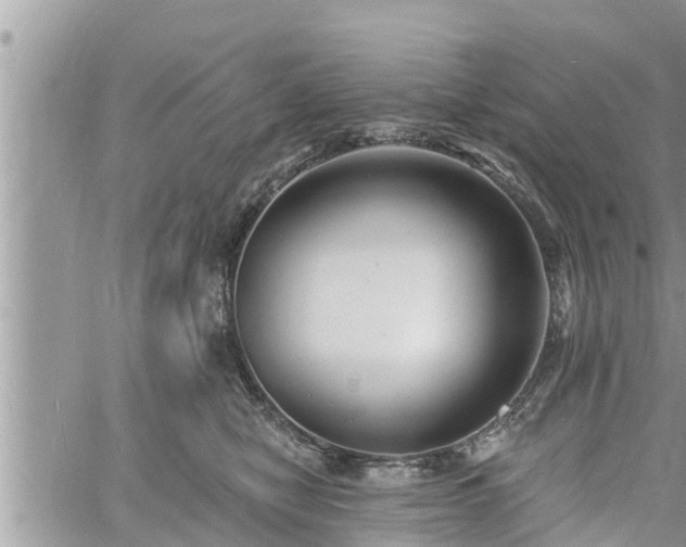 X0000060740470200511171101