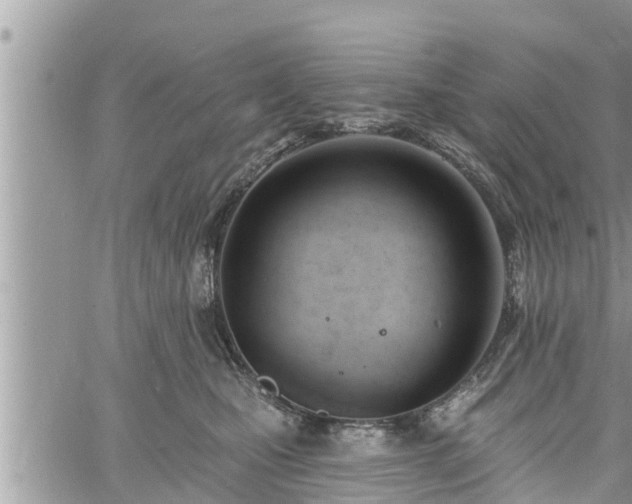 X0000060740471200511171101