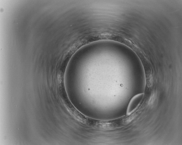 X0000060740472200511171102