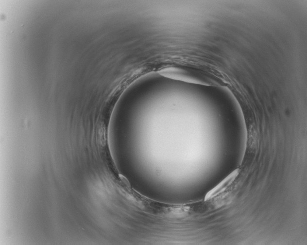 X0000060740474200511171102