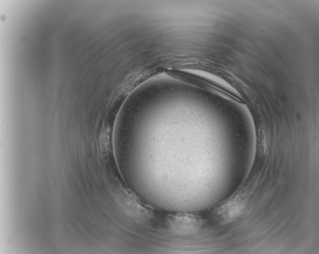 X0000060740475200511171102