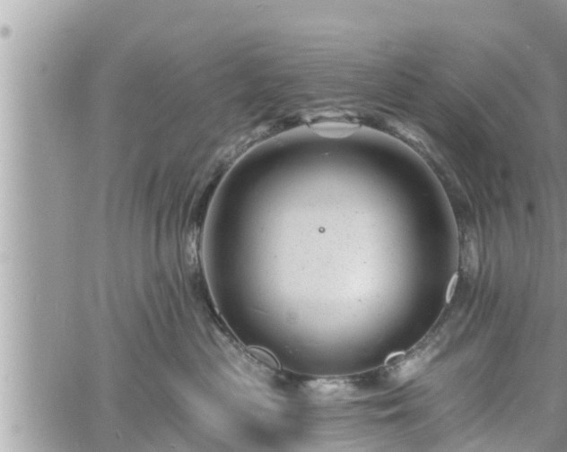 X0000060740477200511171102